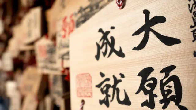 2025-大阪大学への国語［2025実戦模試演習］ (駿台大学入試完全