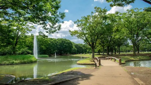 代々木の医学部予備校代々木の医学部予備校